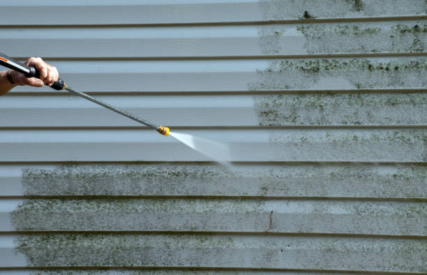 Best Sidewalk and Walkway Cleaning  in Buckeye Lake, OH